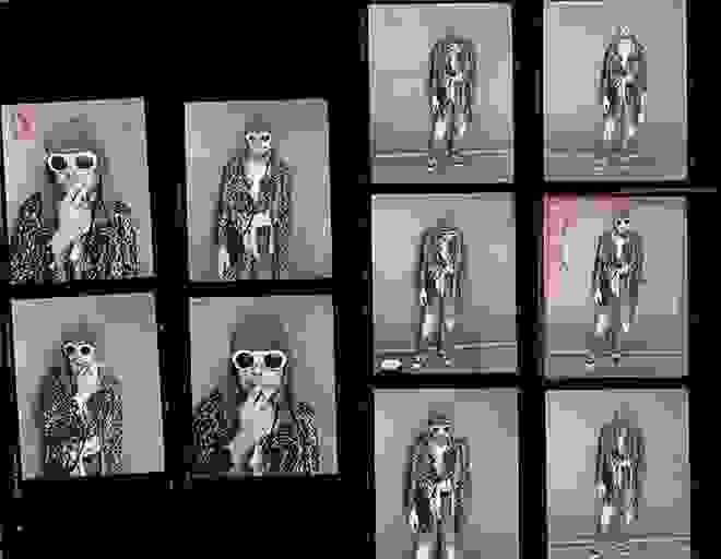 LastKurtCobainsPhotoShootbyJesseFrohman22