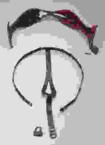 ZONI1