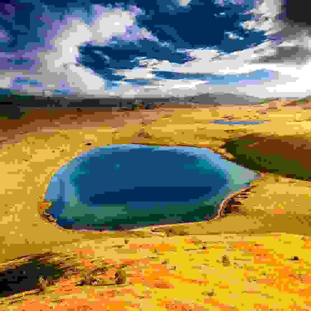 montenegro-DevilsLakerasica.jpg