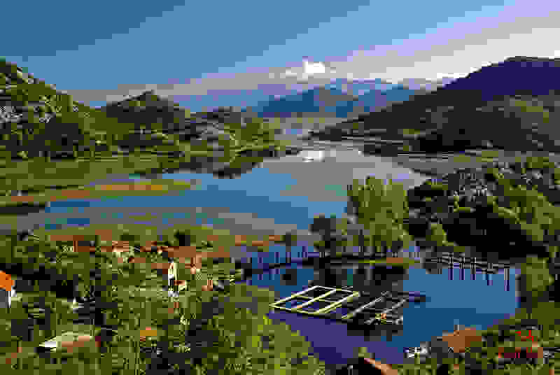 montenegro99.jpg