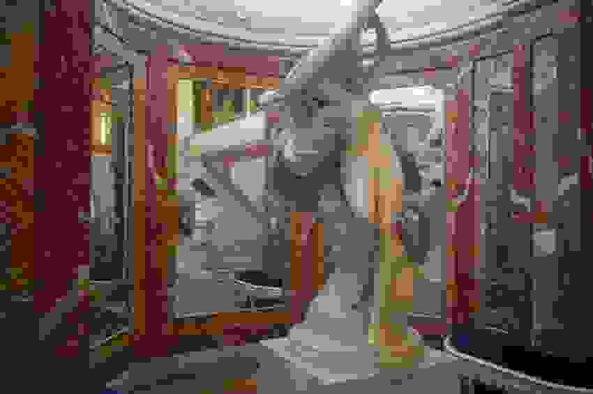 museum-free-15.jpg