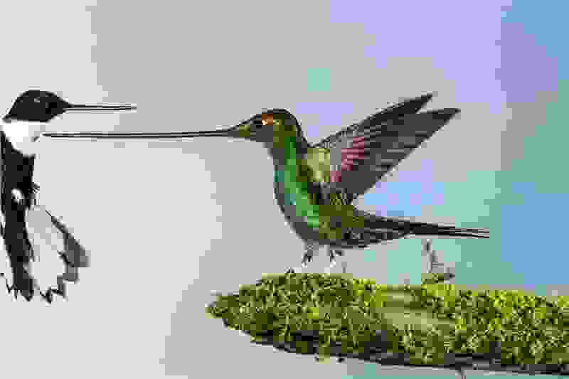 natag6.jpg