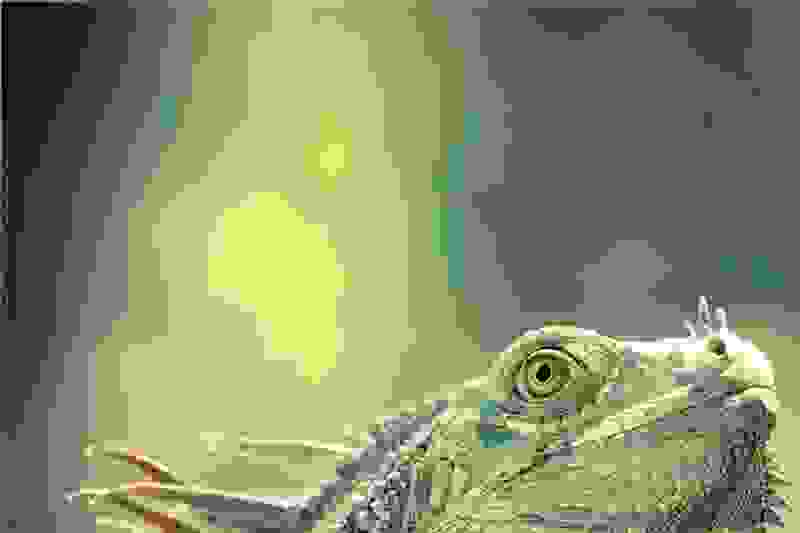 natag8.jpg