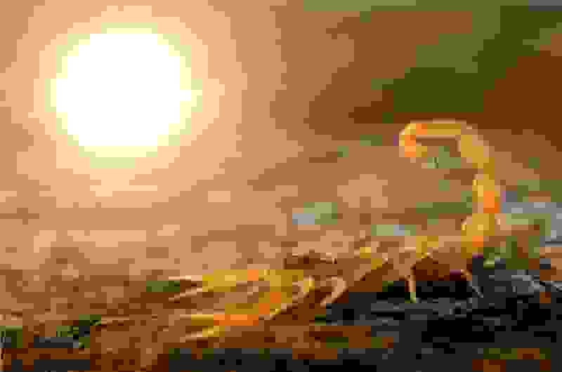 natag9.jpg