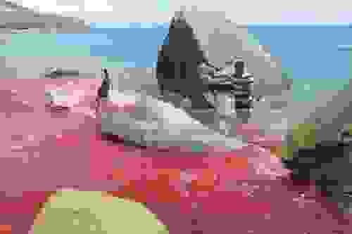 tertsa10