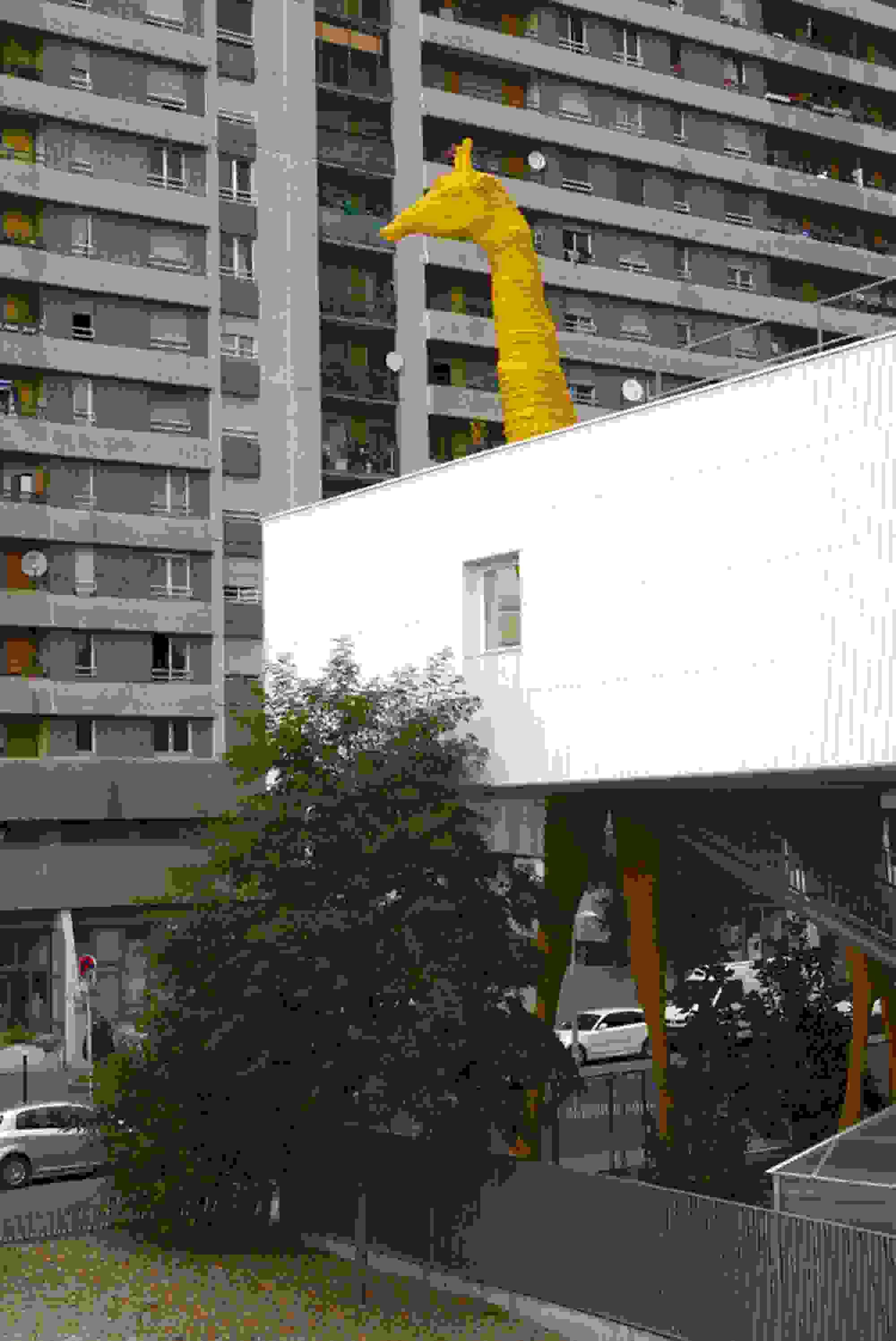 nhpiagogia-07.jpg