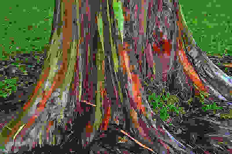 o-efkalyptos-ouranio-tokso0.jpg