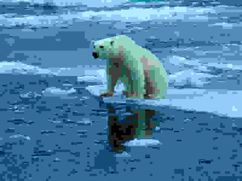oi-epiptoseis-tis-klimatikis-allagis12.jpg