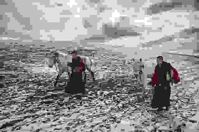 oi-kynigoi-ton-xrysoforon-manitarion002.jpg