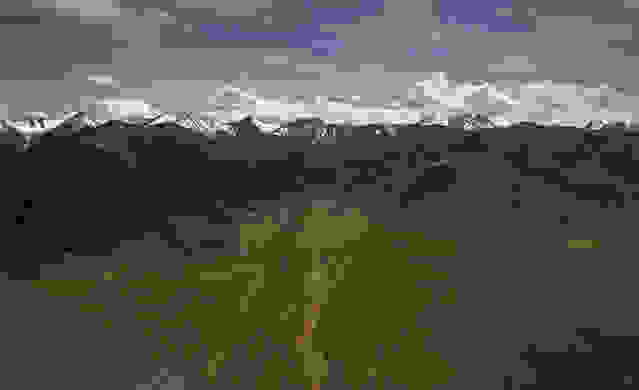 oi-kynigoi-ton-xrysoforon-manitarion022.jpg