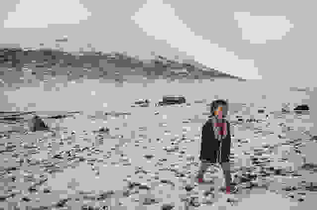 oi-kynigoi-ton-xrysoforon-manitarion099.jpg