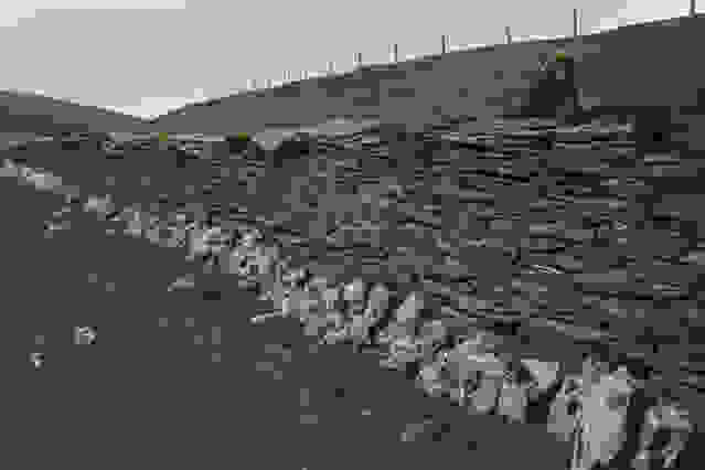 oi-kynigoi-ton-xrysoforon-manitarion44.jpg