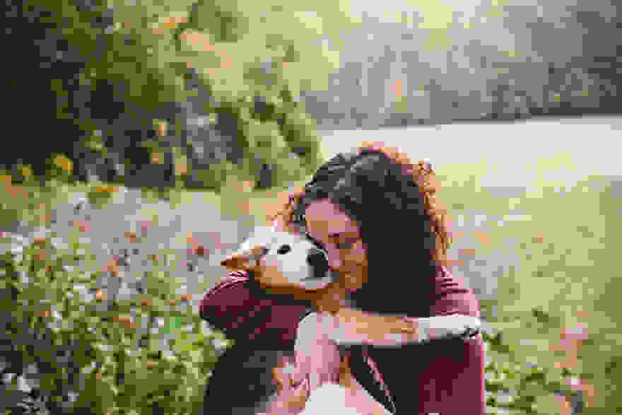old-dog-chubby-memorial-photoshoot-maria-sharp-suzanne-price-3.jpg