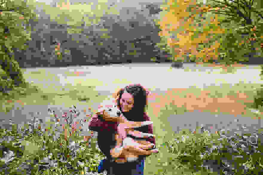 old-dog-chubby-memorial-photoshoot-maria-sharp-suzanne-price-4.jpg