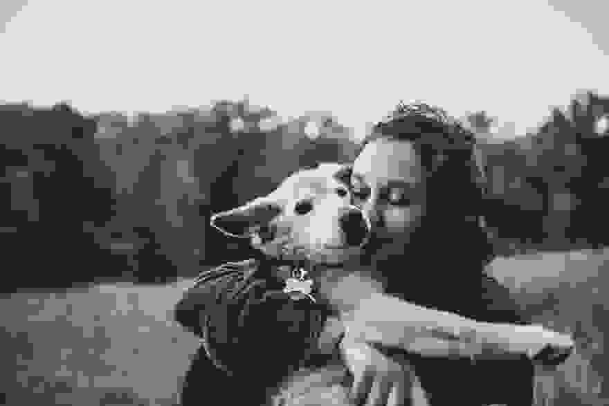 old-dog-chubby-memorial-photoshoot-maria-sharp-suzanne-price-6.jpg