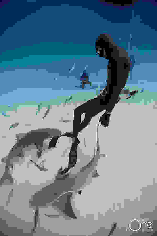 one-ocean-one-breath-01.jpg