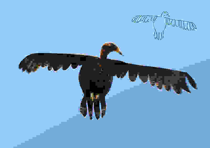 paidikes-zografies6.jpg