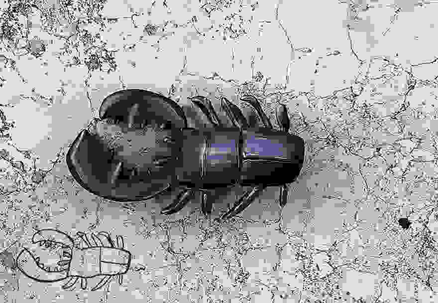 paidikes-zografies9.jpg