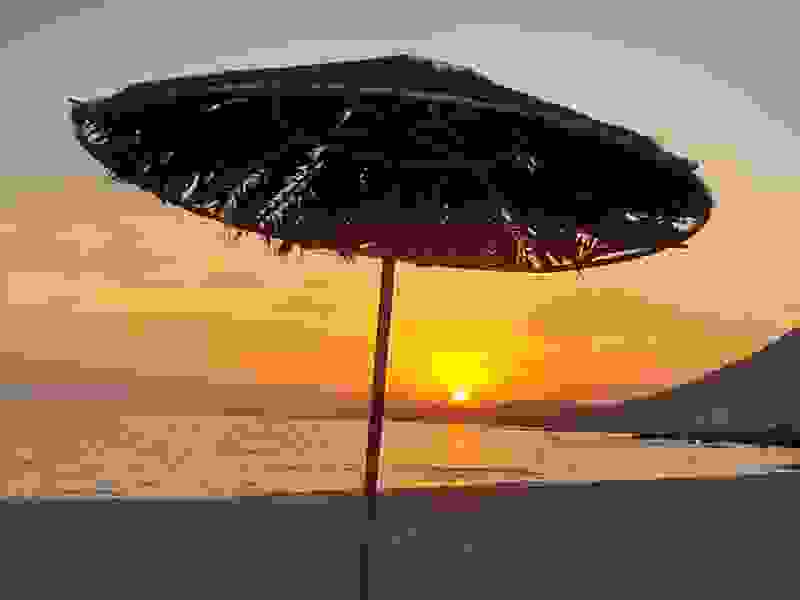 palaioxora2.jpg