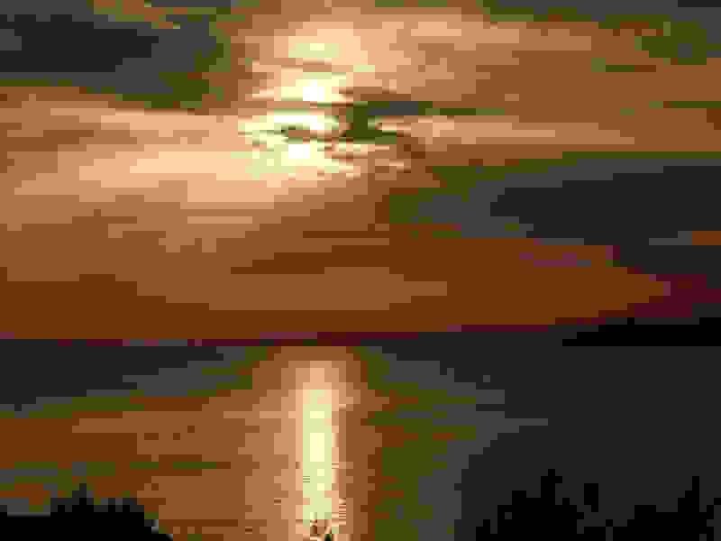 palaioxora4
