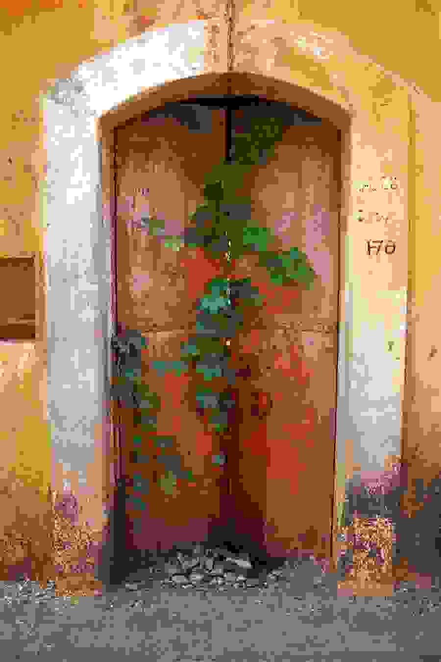 panaji.jpg