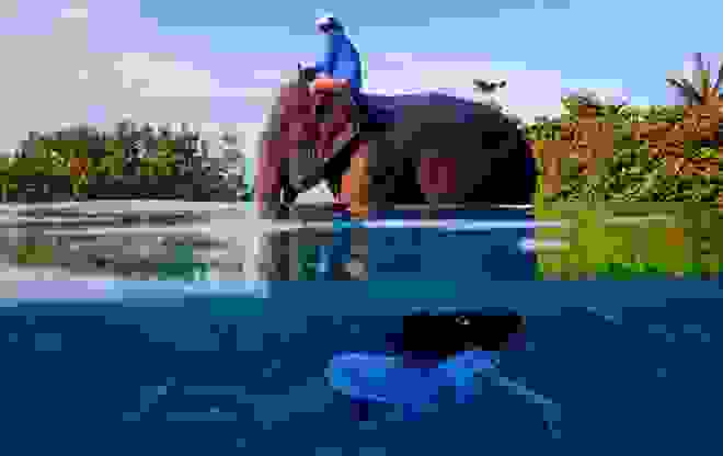 paysane5