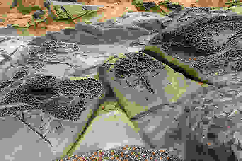 pebble-beach-tafoni-rock-layers.jpg