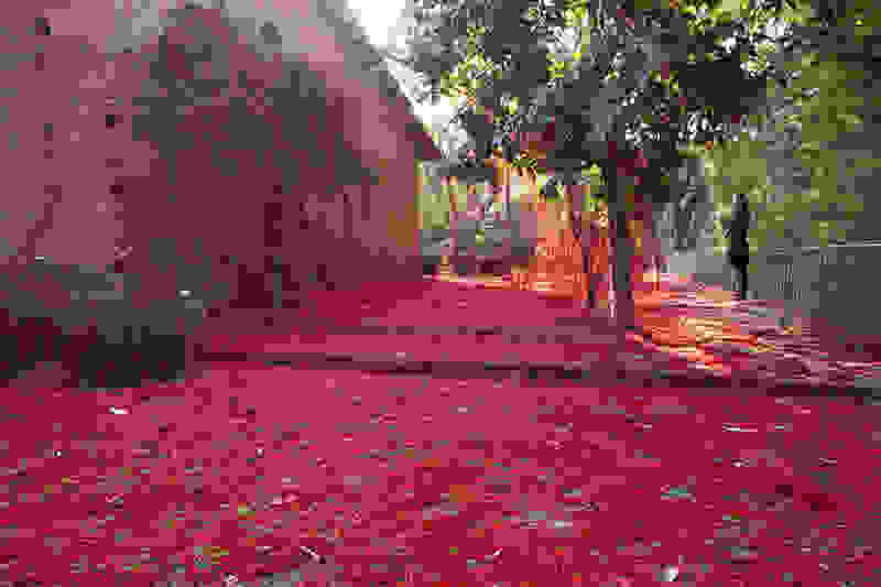 penelope44.jpg