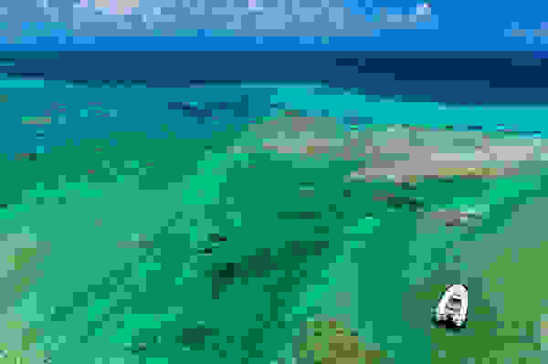 pierr1.jpg