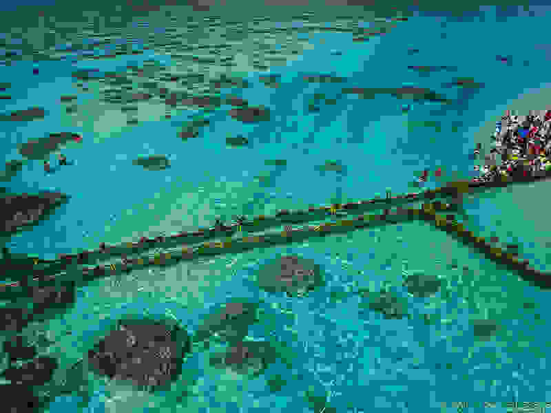 pierr13.jpg