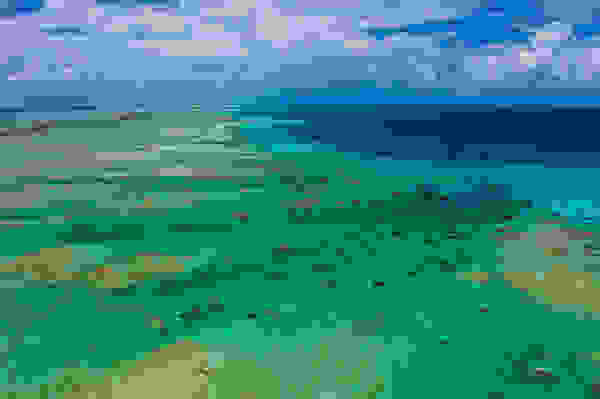 pierr2.jpg