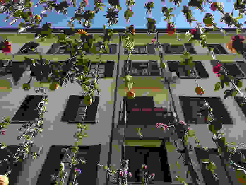 piuarch-flowerprint-facade-milan-design-week-designboom-02.jpg