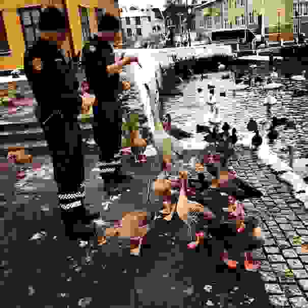 police-instagram-logreglan-reykjavik-iceland-8-605x605.jpg