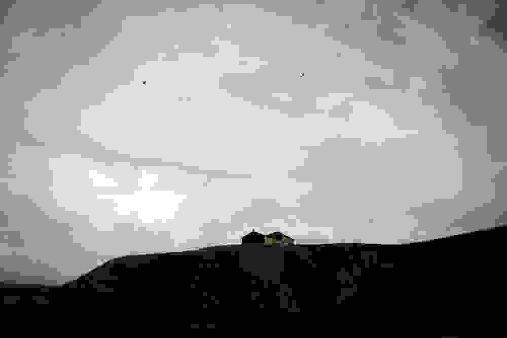 polytimes-petalides10.jpg