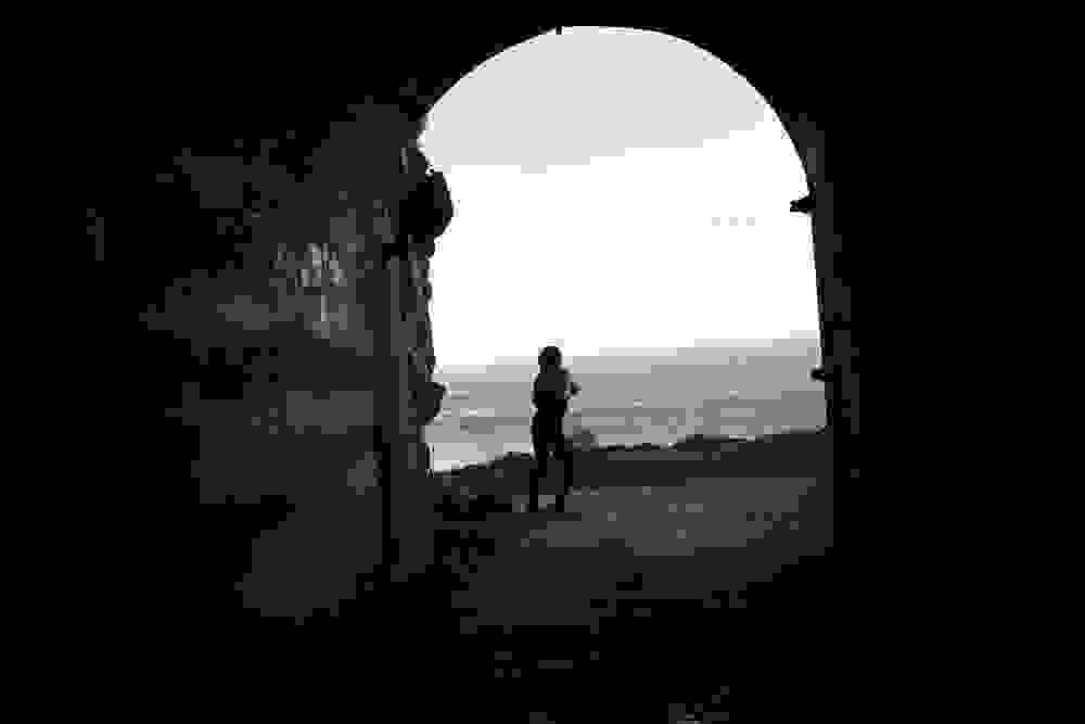 polytimes-petalides11.jpg