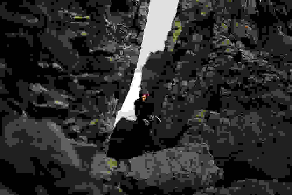 polytimes-petalides2.jpg