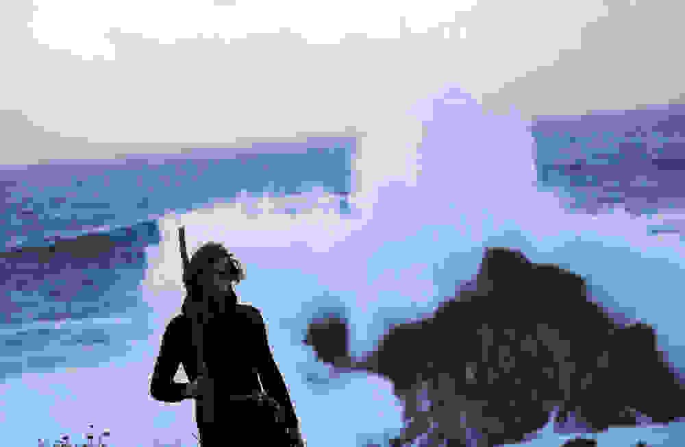 polytimes-petalides3.jpg