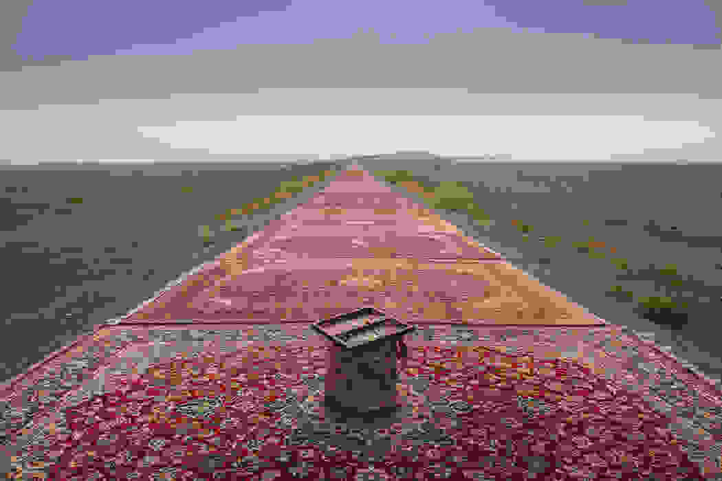 red-zone001.jpg
