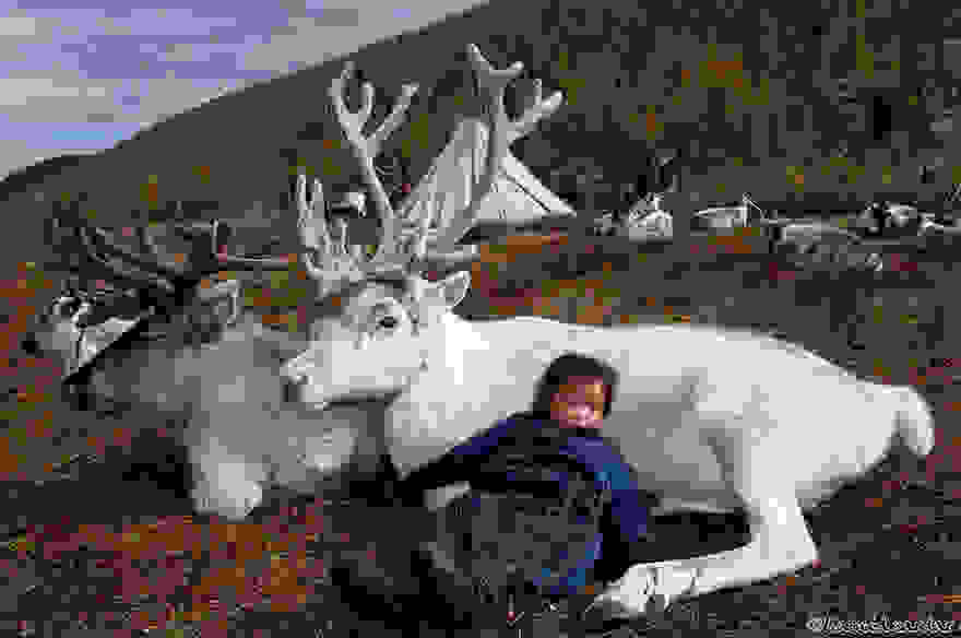 reindeer-people-hamid-sardar-afkhami-1.jpg