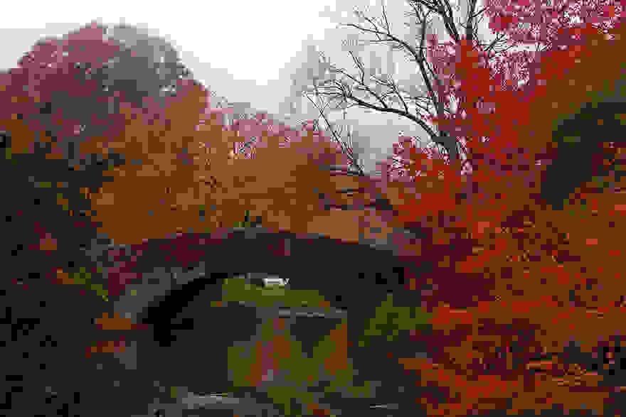 same-place-different-season-before-after-2-2.jpg