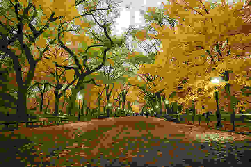 same-place-different-season-before-after-5-2.jpg