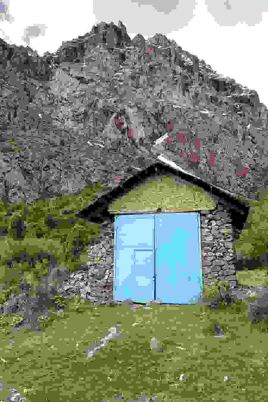 saritag.jpg