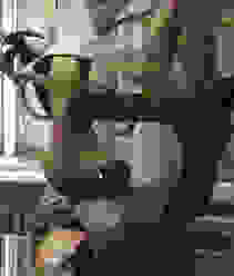 schandmaske1.jpg