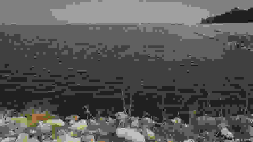 sewage-forest-03-889x500.jpg