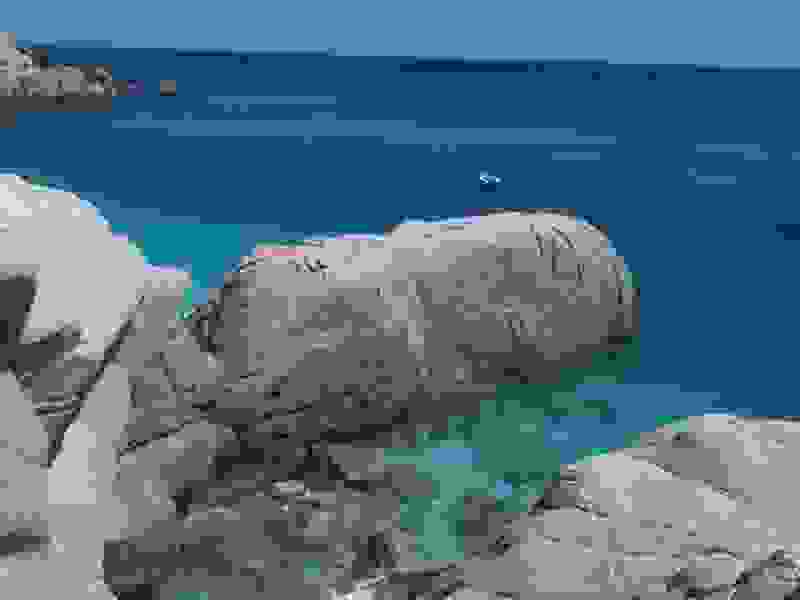 seychelles7.jpg