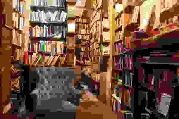 shakespeare-and-co-biblio4.jpg