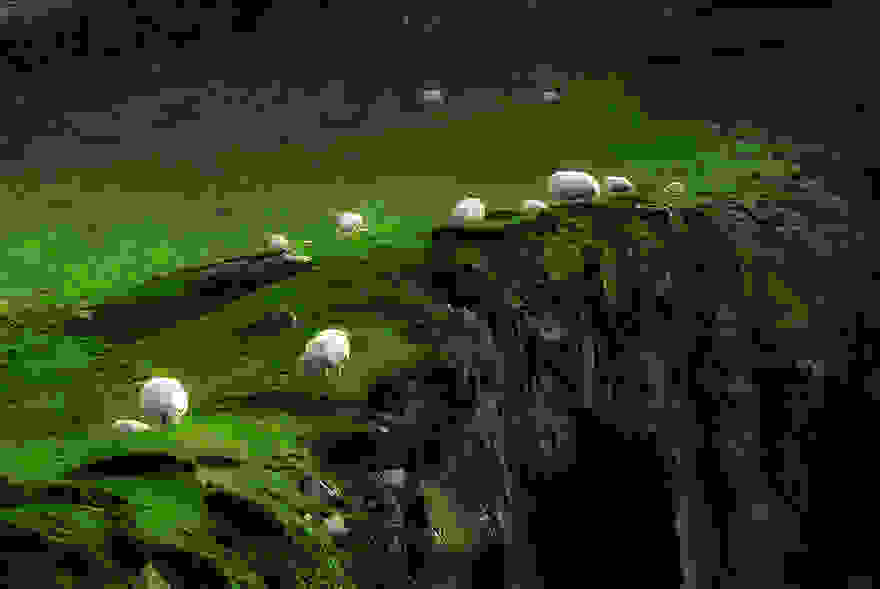 sheep-herds-around-the-world-15.jpg