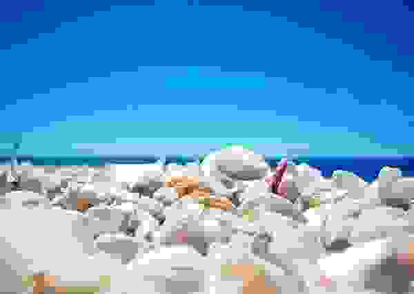 shellbeach1.jpg
