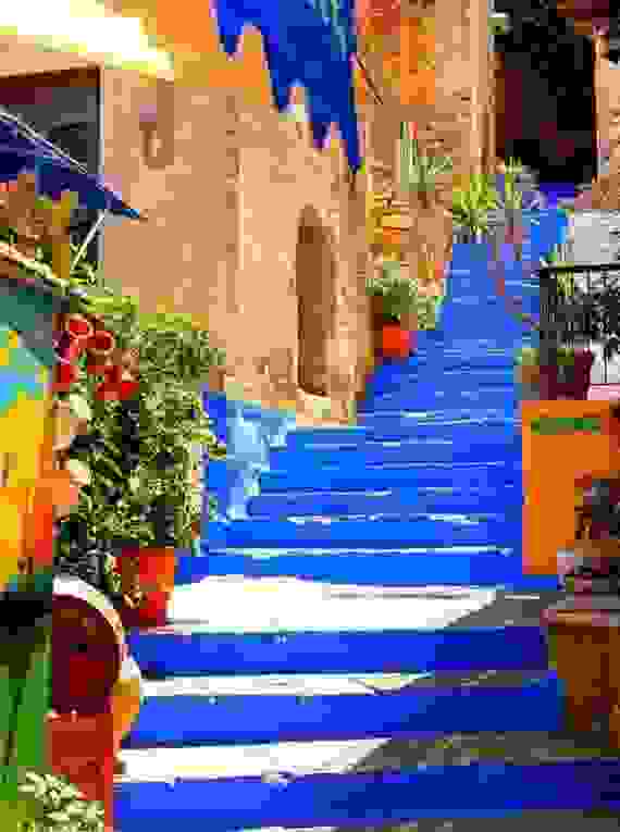 simi.jpg