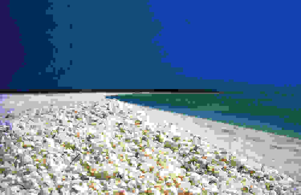 snowhite6.jpg